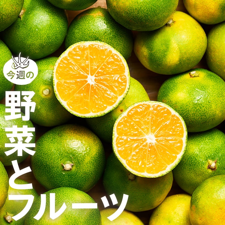 今週の野菜とフルーツ（9/10～9/17 10:00） ｜Oisix（おいしっくす）