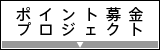 �|�C���g����v���W�F�N�g
