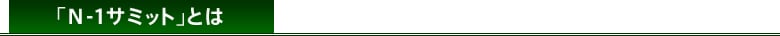  N-1�T�~�b�g�Ƃ́H