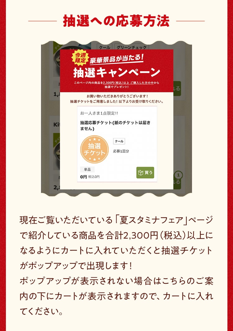 �v���[���g�L�����y�[��
