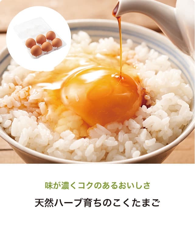 �����b�g_02_01