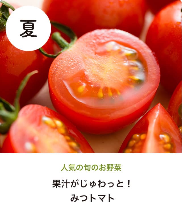 �����b�g_03_06