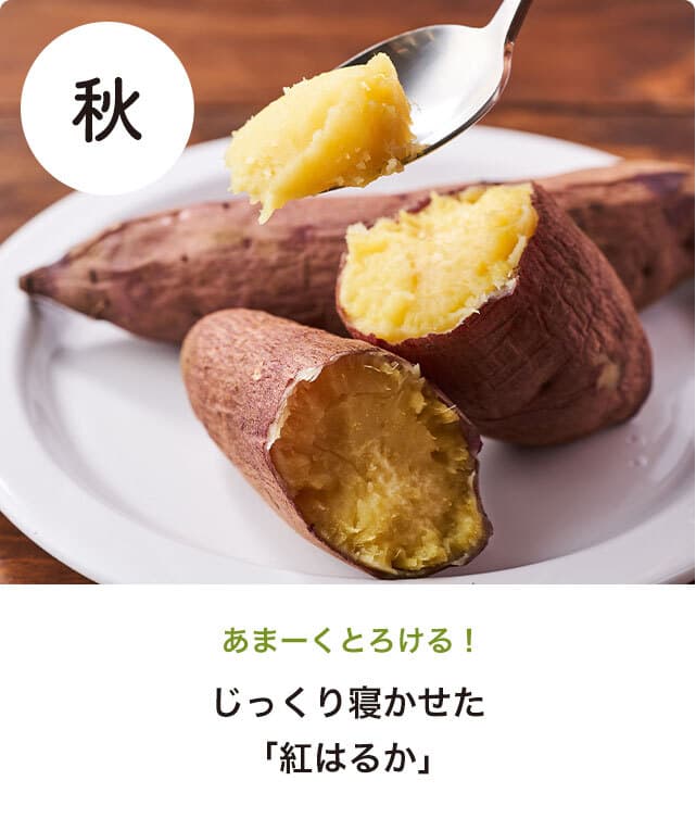 �����b�g_03_07