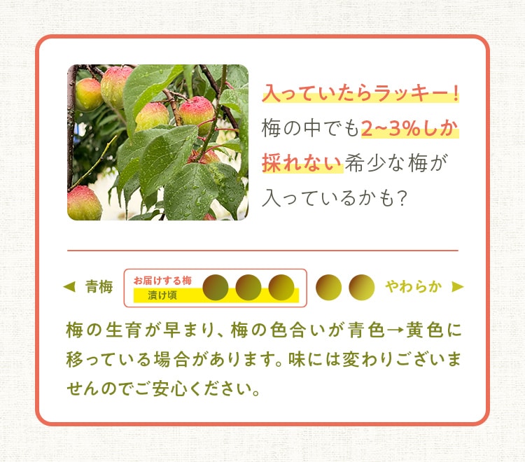 ���m�点