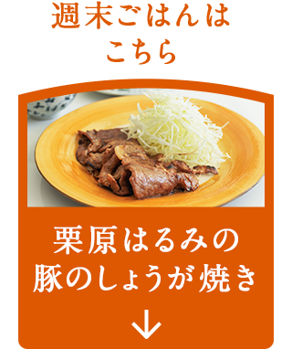 ナビゲーション1_しょうが焼き