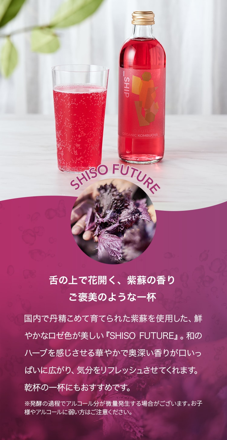 �R���u�`�� ���h