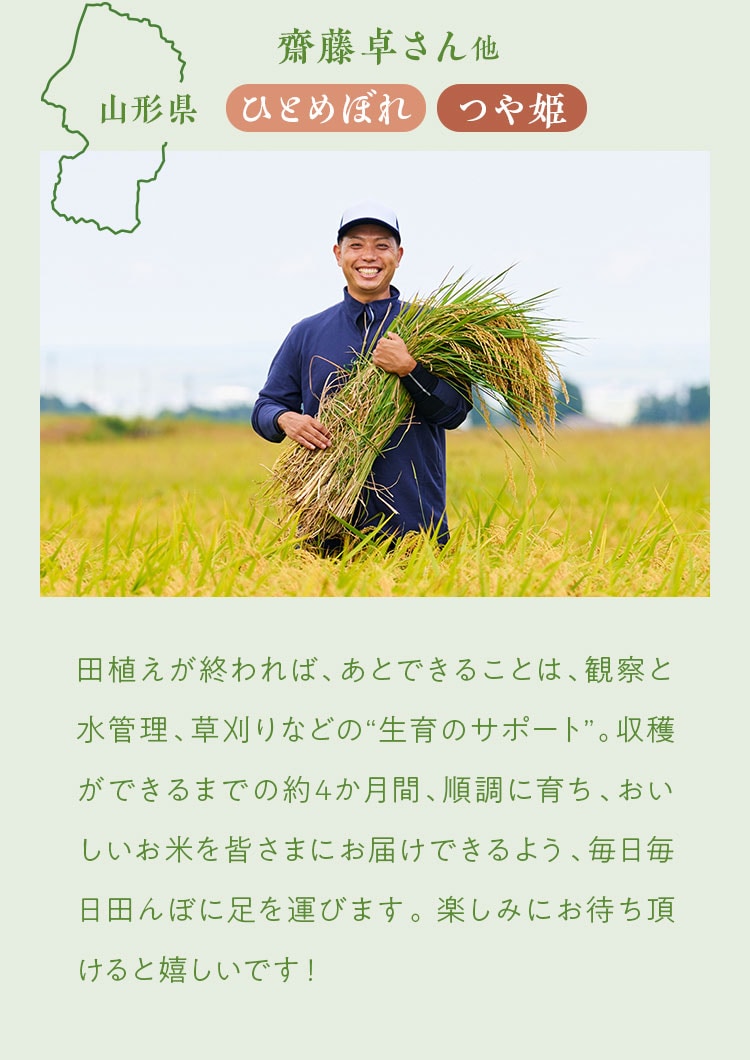 �摜����