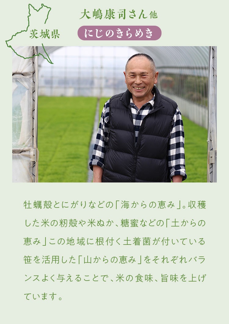 �摜����