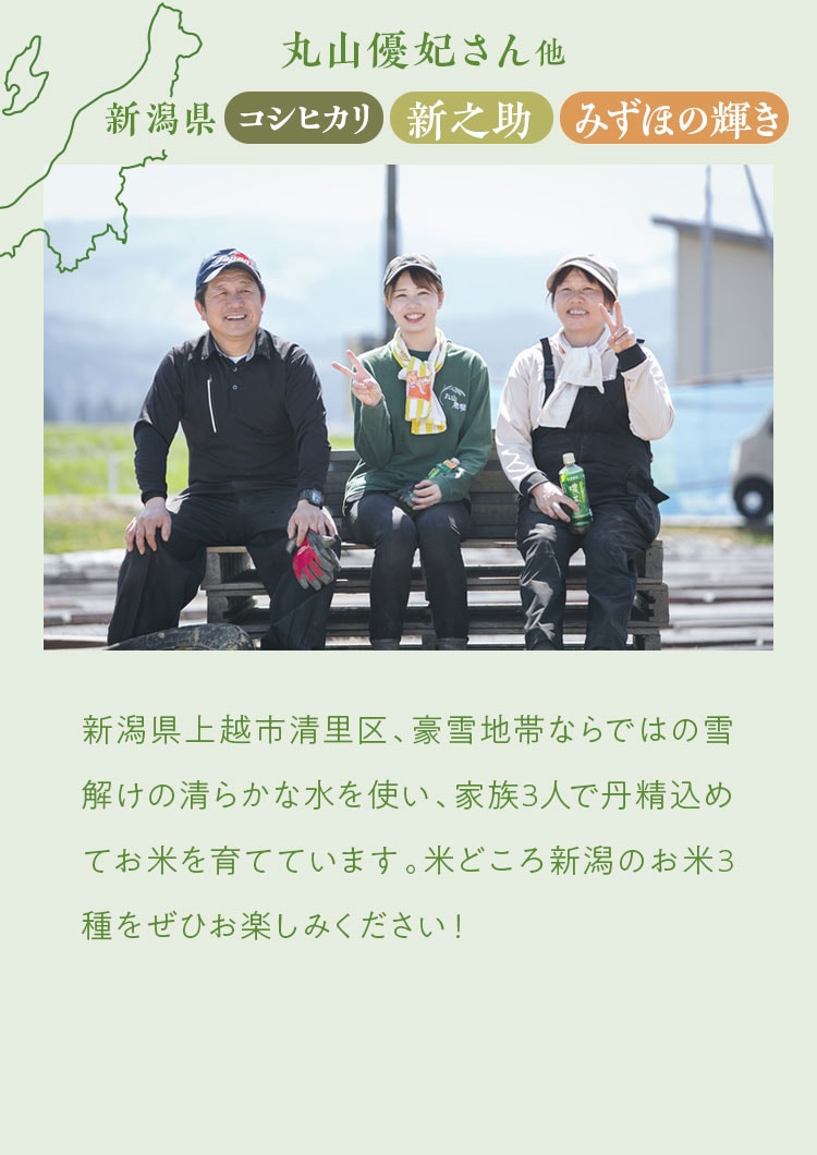 �摜����