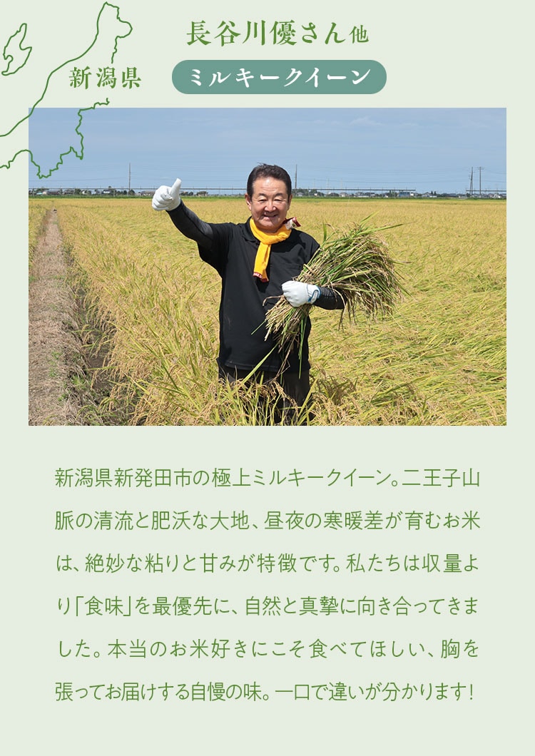 �摜����