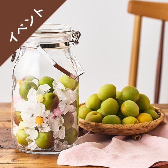 [�\��][Kit]�~500g�I����؂��Ƃ�����~�V���b�v