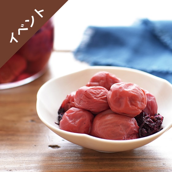 [Kit]�~1kg�I�����Ƒ傫�Ȕ~�Ŏ���~����
