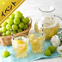 [Kit]����I�V���C���}�X�J�b�g�V���b�v