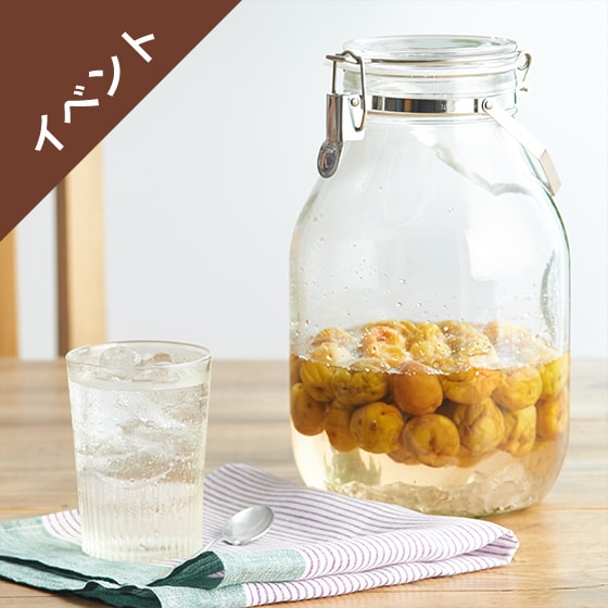 [�\��][Kit]�~500g�I������~�̔~�V���b�v