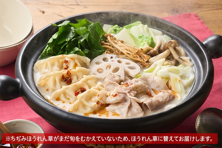 [Kit]�R�N�|�I�������萅�L�q�Ɠؓ��̔�����