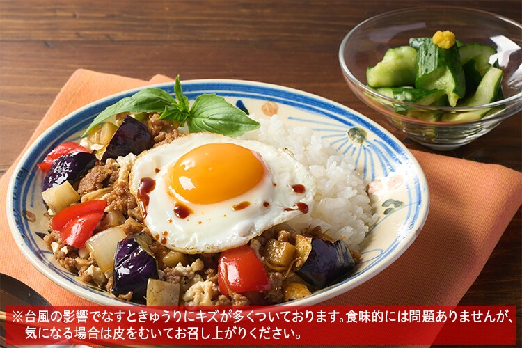 Kit2人前／しょうが香る！甘辛和風ガパオライス|有機野菜 通販 Oisix