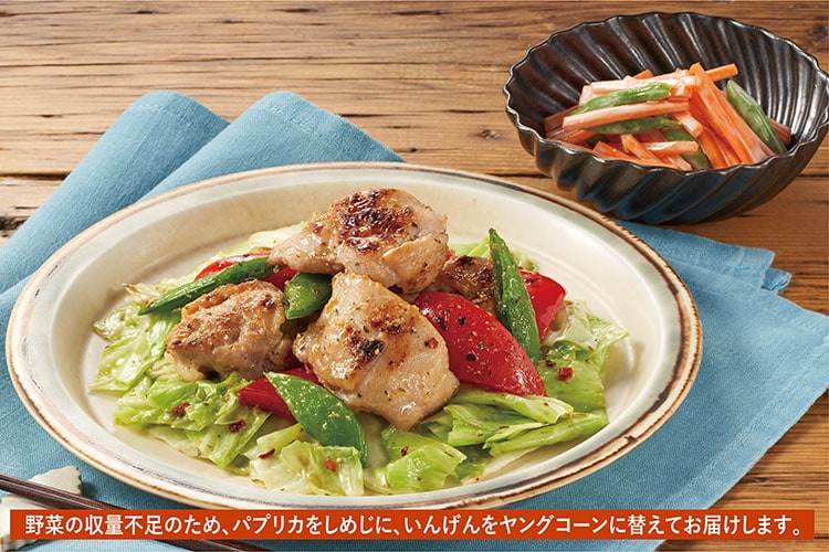 Kit2�l�O�^�s���h�I�{�̃y�y�����u��