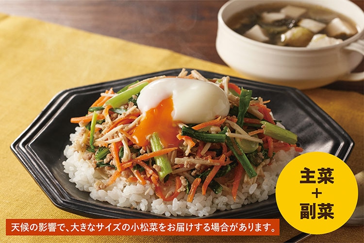 Kit2人前/ジューシーそぼろと野菜のビビンバ