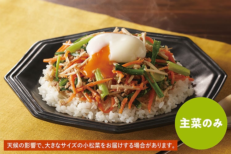 Kit2人前/ジューシーそぼろと野菜のビビンバ