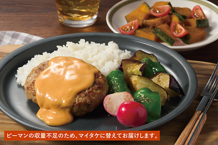 Kit2人前/チーズソースバーグとグリル野菜