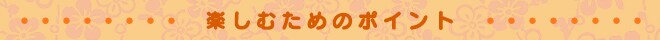 �y���ނ��߂̃|�C���g