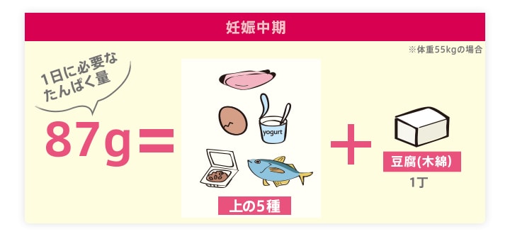 妊娠中期