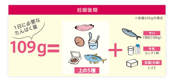 妊娠後期