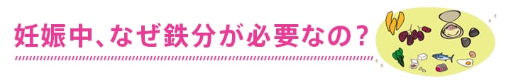 妊娠中、なぜ鉄分が大切なの?