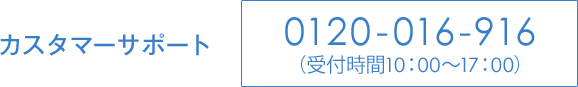 �J�X�^�}�[�T�|�[�g