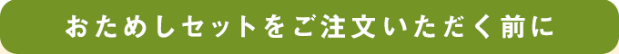 �����߂��Z�b�g�����������������O��
