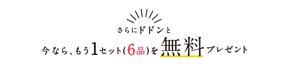 ���Ȃ�A����1�Z�b�g�i6�i�j�𖳗��v���[���g�I