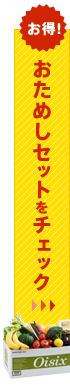 �������Z�b�g