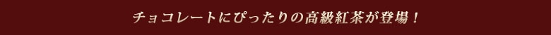 �`���R���[�g�ɂ҂�����̍����g�����o��I