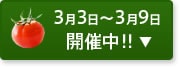 3��3���`3��9��