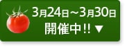3��24���`3��30��