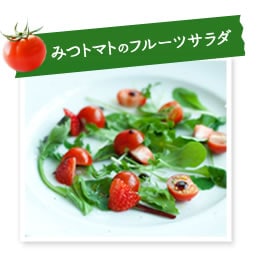 �݂g�}�g�̃t���[�c�T���_