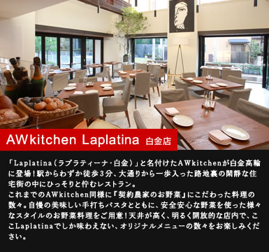 AW kitchen Laplatina �����X