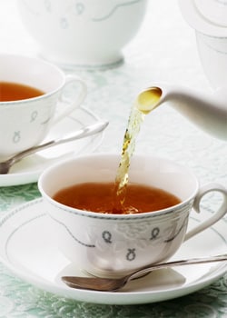 高級の紅茶「SAN-CHA」