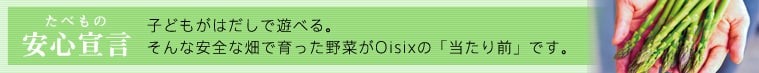 ���S�錾