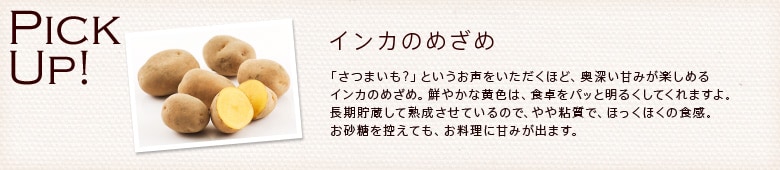 �C���J�̂߂��߂̃W���[�}���|�e�g