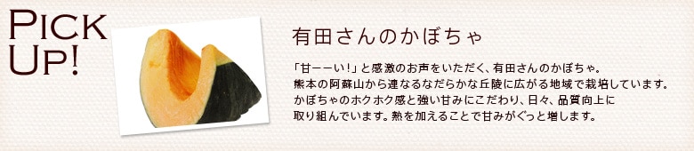 ���ڂ���ƃN���[���`�[�Y�̃f�����T���_