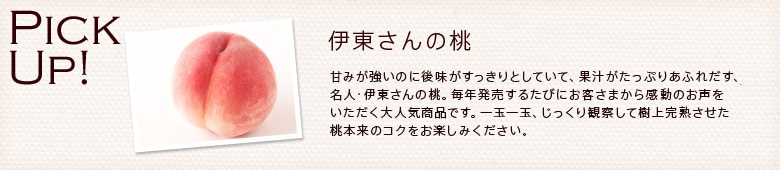 ���ƃ��b�c�@�����`�[�Y�̃T���_