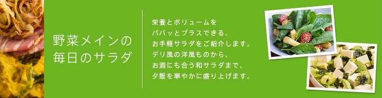 ��؃��C���̖����̃T���_