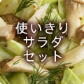 使いきりサラダセット