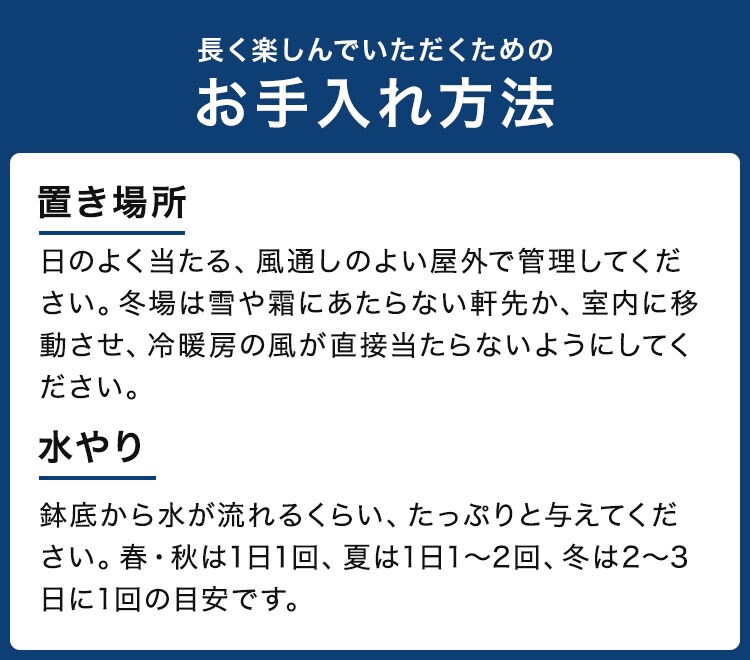 �X���C�_�[�摜6