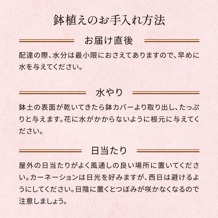 �X���C�_�[�摜5