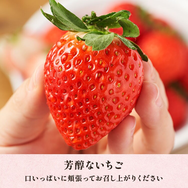 心華やぐ春のあまりん ｜ 2026年 Oisix父の日ギフト特集