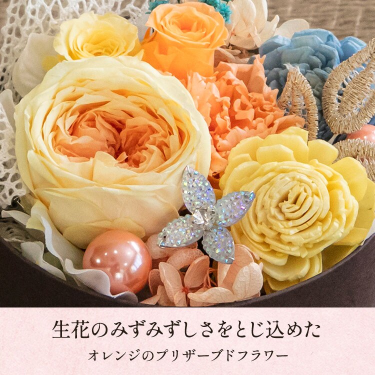 �X���C�_�[�摜4