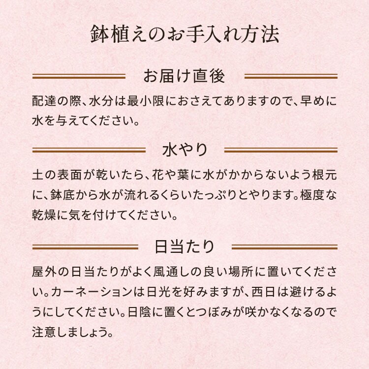 �X���C�_�[�摜5