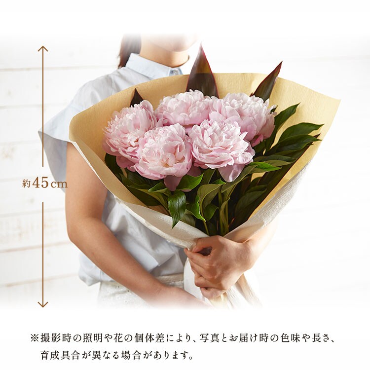 大輪芍薬ブーケ ピンク ｜ 2026年 Oisix父の日ギフト特集